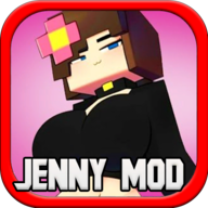 Jenny模组安装