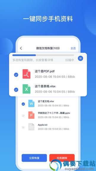数据恢复王
