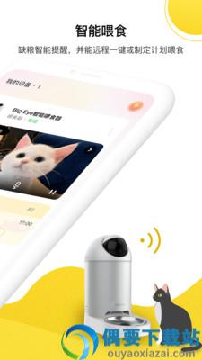 宠陪陪截图2