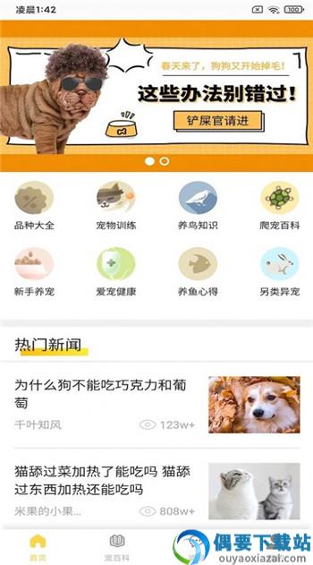 富张东狗
