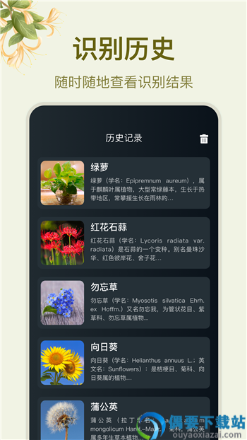 拍照识花大师