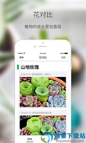 绿手指