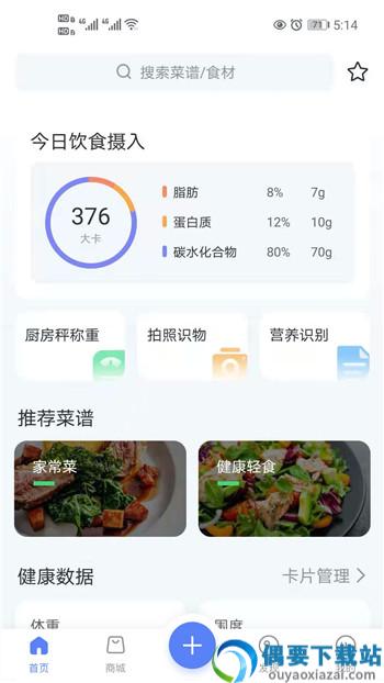牛油果健康app
