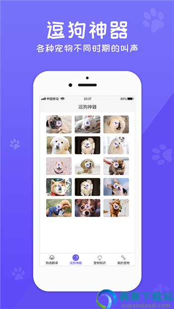 狗语交流翻译器app