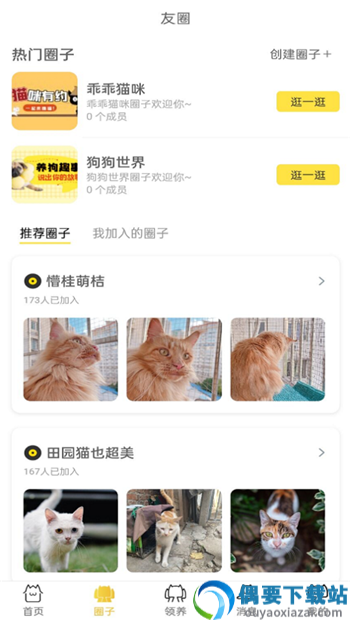 种猫家宠物服务-2
