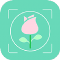 识花草app