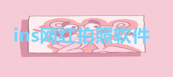 ins网红拍照软件