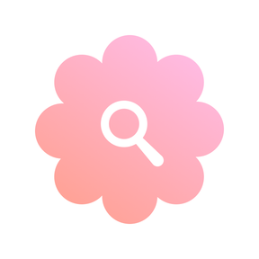 绚泽壁纸app