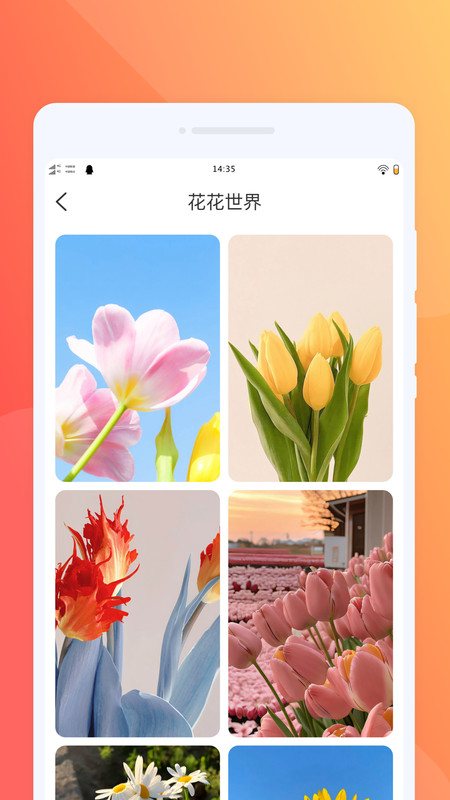 布丁小组件app-1