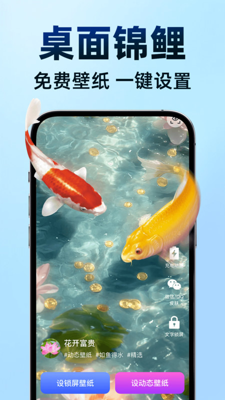 天天养鱼壁纸app截图4