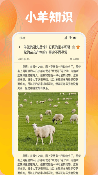 疯狂小羊资讯app截图1
