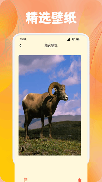 疯狂小羊资讯app截图3