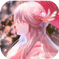 次元街app