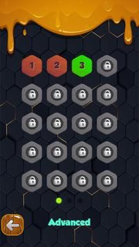 六边形方块木头拼图(Block Heax Wooden Puzzle)游戏-2