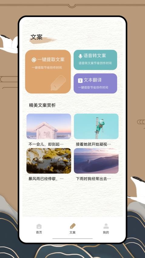 anyview软件截图3
