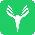 云艺术人app