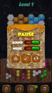 六边形方块木头拼图(Block Heax Wooden Puzzle)游戏-1