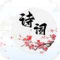 诗词达人app