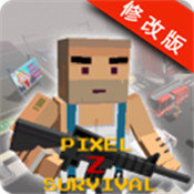 像素Z生存