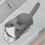 迷路猫咪的故事中文版