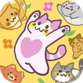 猫咪满屋