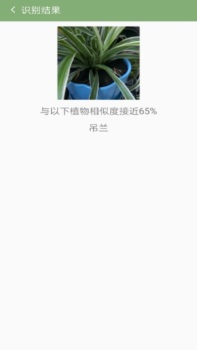 植物扫描辨识图2