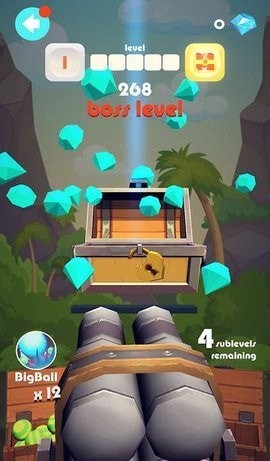 BestShot图1
