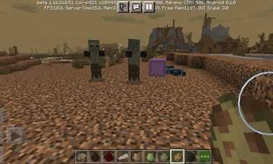 我的世界1.16版本