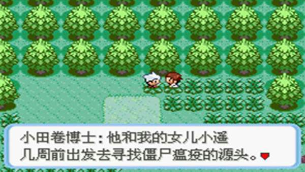 口袋妖怪蛇纹木通用版图2