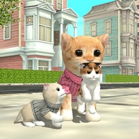 在线模拟猫CatSim图标