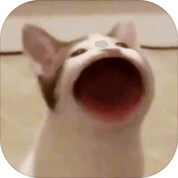 Popcatmeme