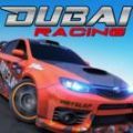 迪拜赛马DubaiRacing图标
