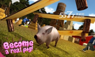 Crazy Pig Simulator安卓版-1