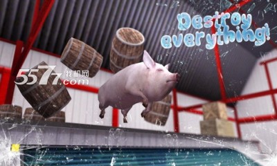 Crazy Pig Simulator安卓版-2