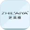 芝莱雅官方版