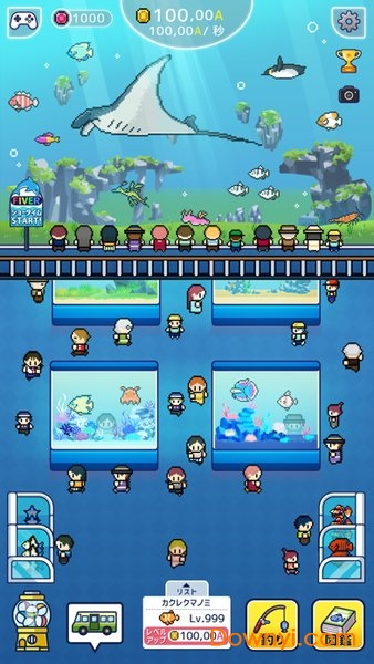 小型水族馆图1