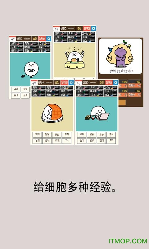 我和细胞的49天生活图1