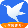 迅雷看看原版