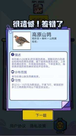 飞鸟乐园图2