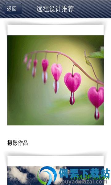 黑光网图1