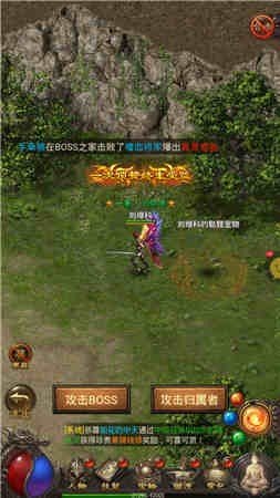 单职业带宠物麻痹传奇图3