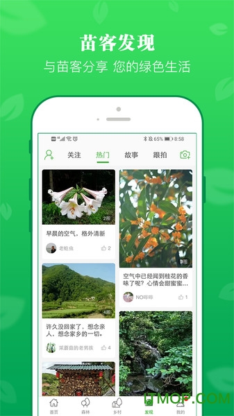 苗客图1