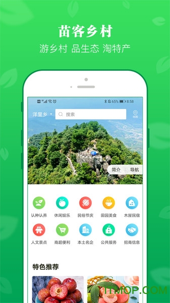 苗客图4
