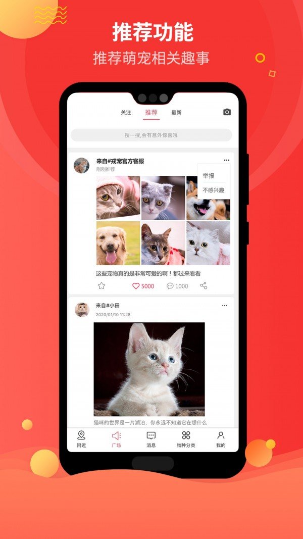 戎宠图3