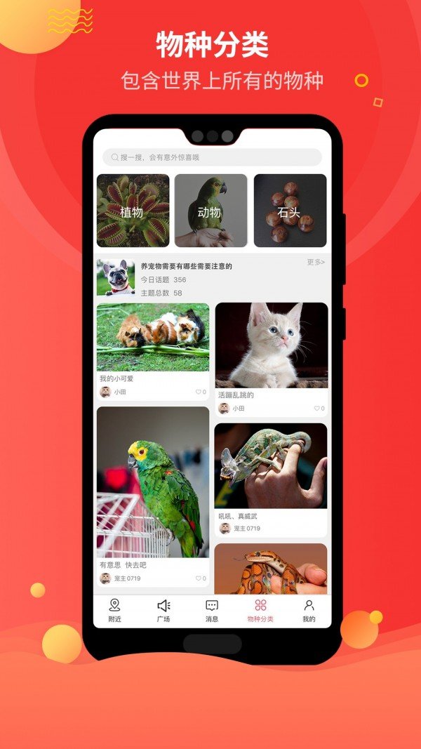 戎宠图4