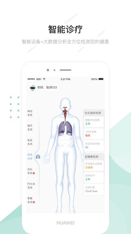 榕树家图1