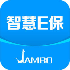 智慧E保软件
