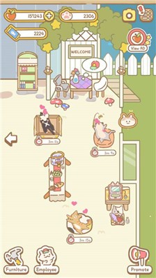 猫咪Spa图2