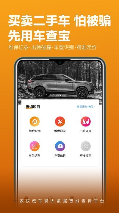 车查宝图4