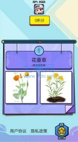 爱上鲜花红包版图3